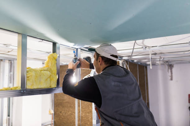 Best Specialty Insulation in Blackhawk, SD